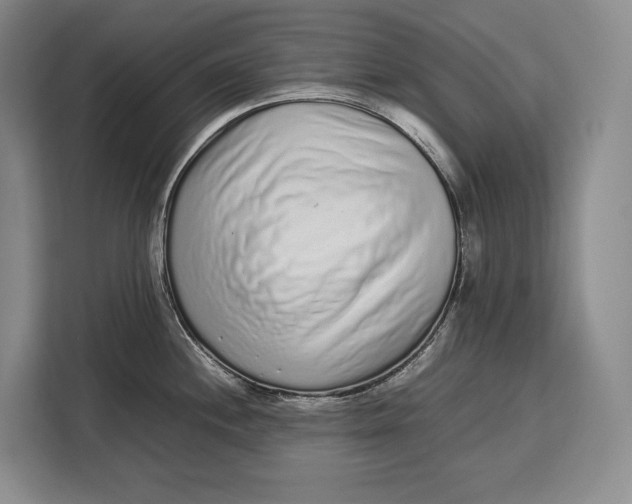 X0000113041244200909171514