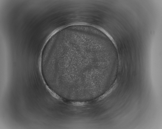 X0000113041245200909171514