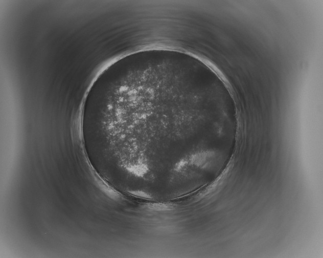 X0000113041246200909171514