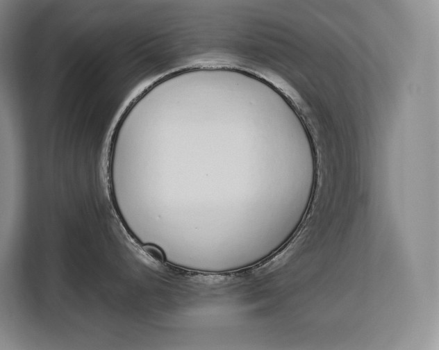 X0000113041248200909171515