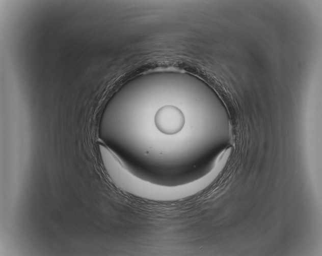 X0000113041249200909171514