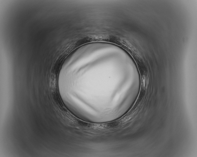 X0000113041251200909171514
