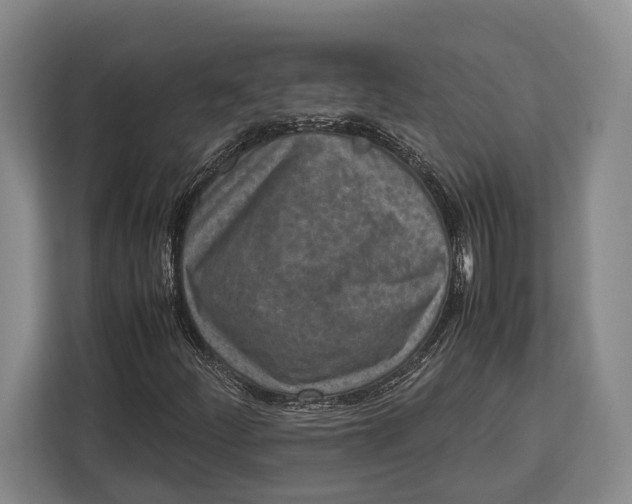 X0000113041252200909171514