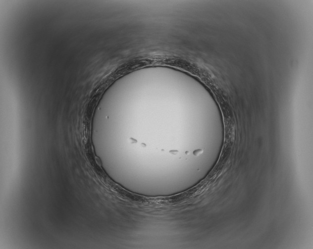 X0000113041253200909171514