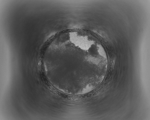 X0000113041254200909171514