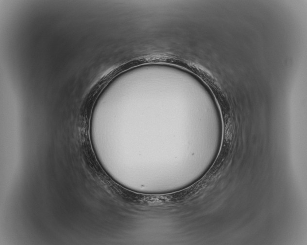X0000113041255200909171514