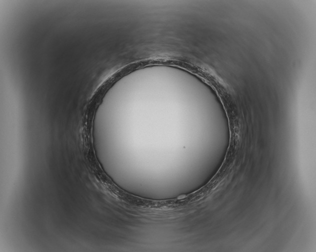 X0000113041256200909171514