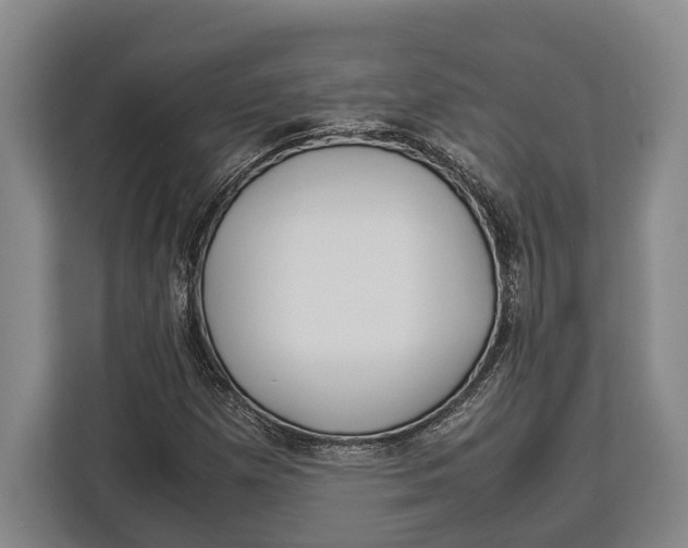 X0000113041257200909171514