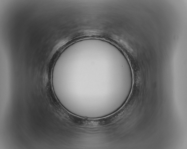 X0000113041261200909171514