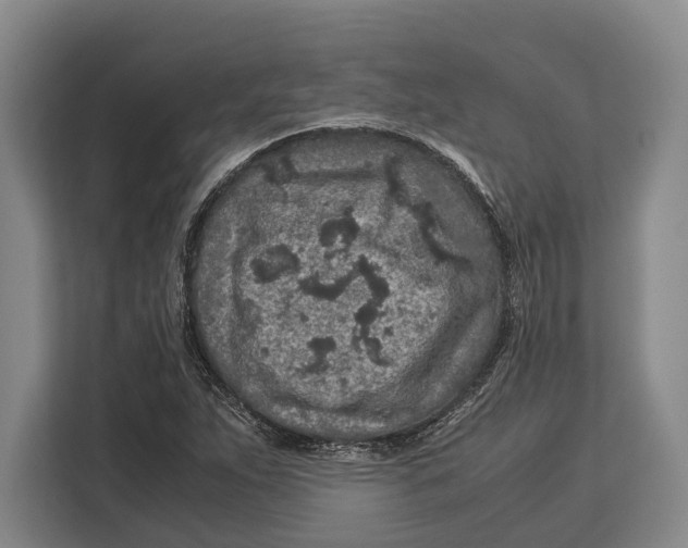 X0000113041263200909171514