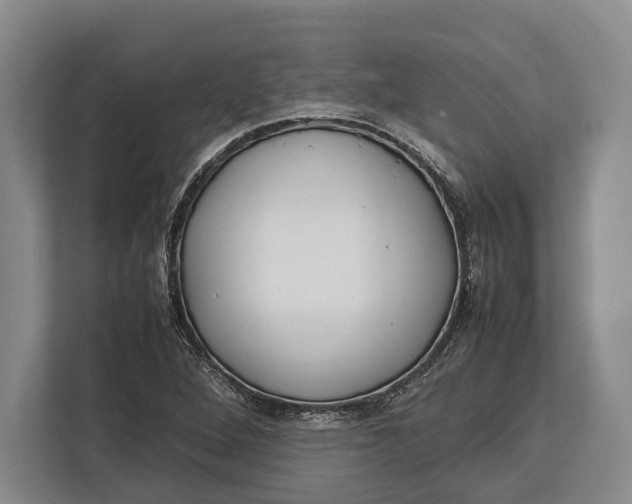 X0000113041264200909171514