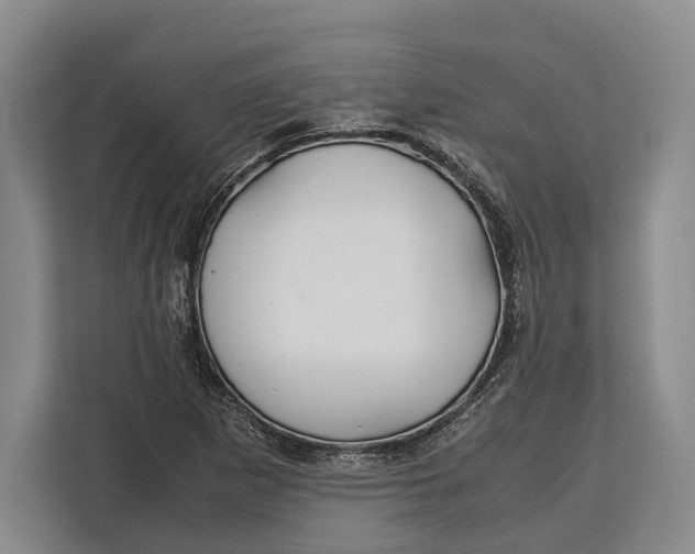 X0000113041265200909171514