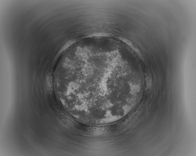 X0000113041266200909171514