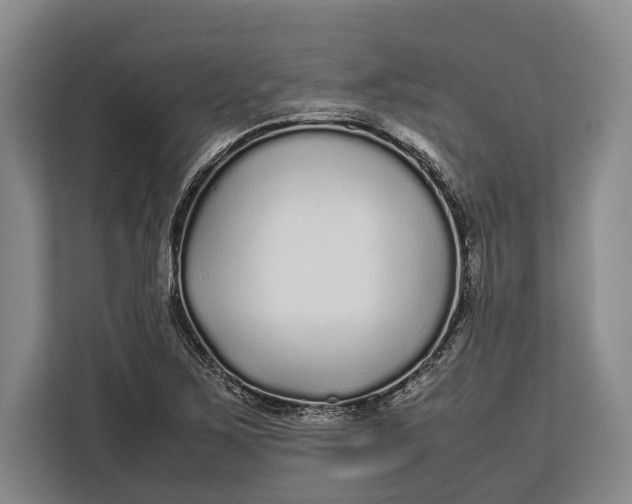 X0000113041267200909171514