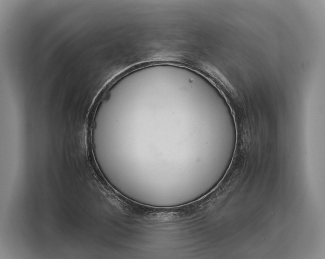 X0000113041268200909171514