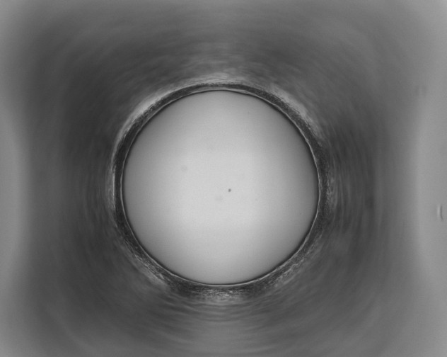 X0000113041270200909171514