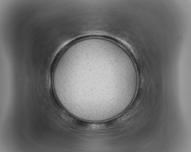 X0000113041271200909171514
