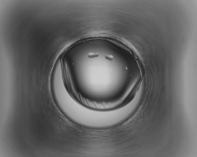 X0000113041277200909171514