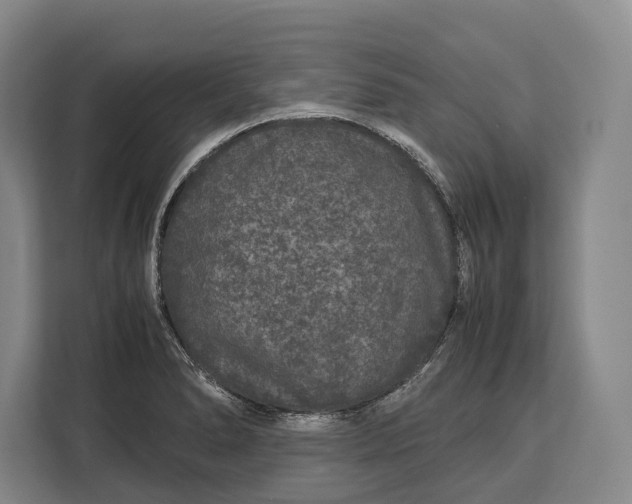 X0000113041278200909171514