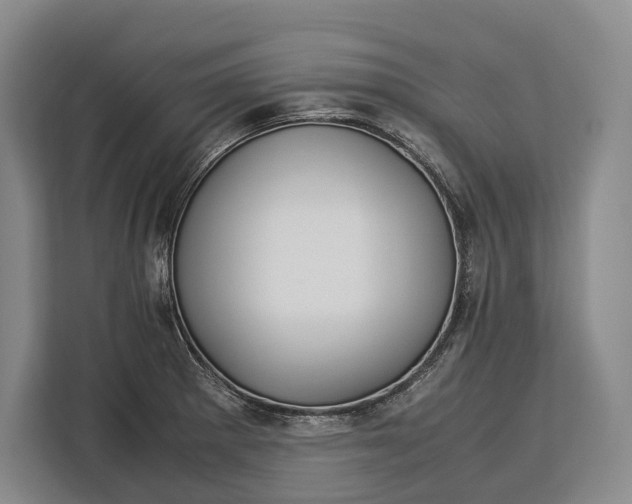 X0000113041281200909171513