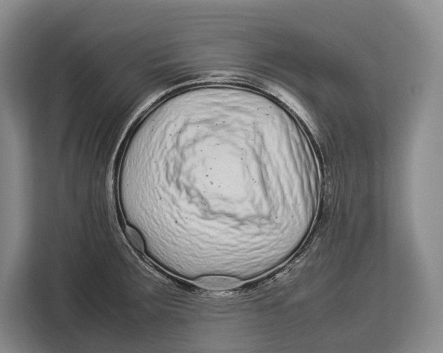 X0000113041283200909171513