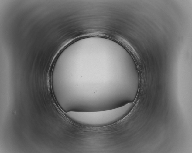 X0000113041284200909171513