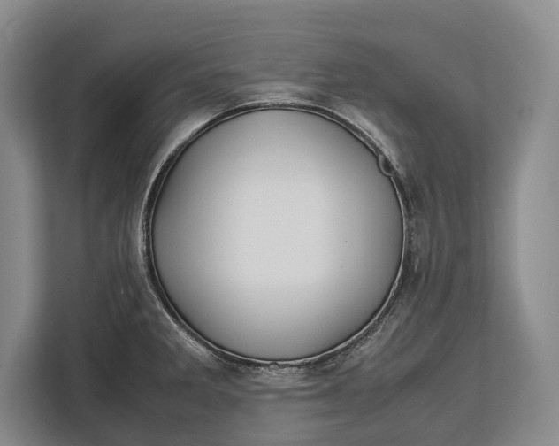X0000113041285200909171513
