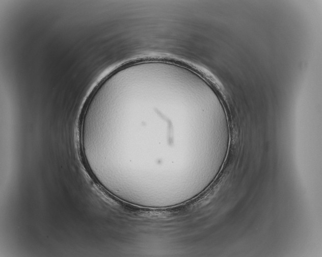 X0000113041287200909171513