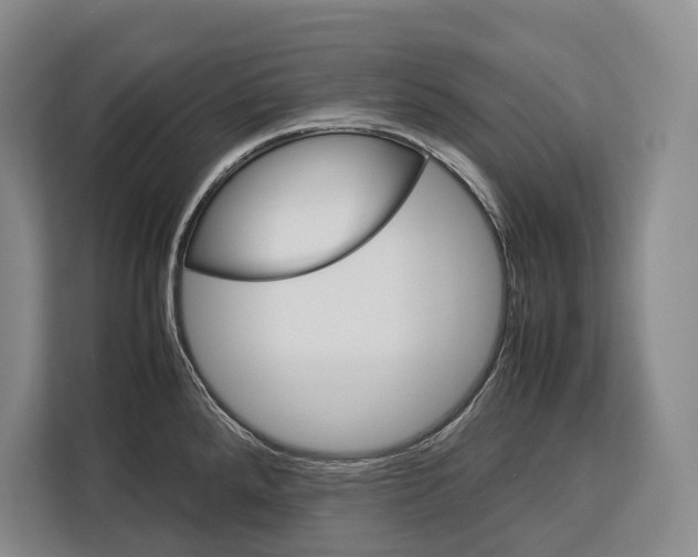 X0000113041288200909171513