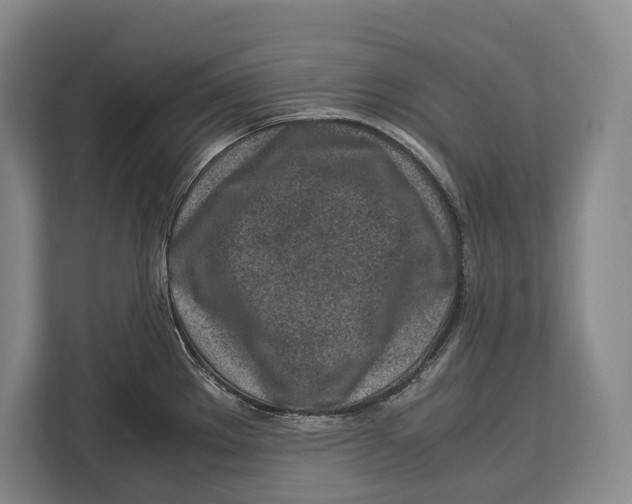 X0000113041289200909171513