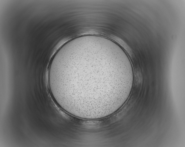 X0000113041290200909171513