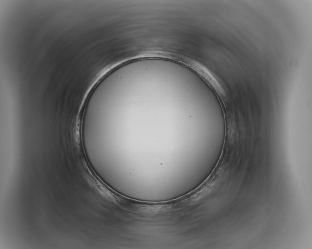 X0000113041292200909171513