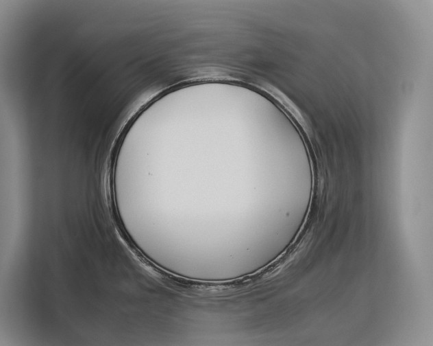 X0000113041293200909171513