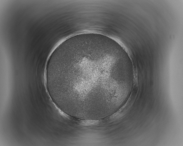 X0000113041294200909171513