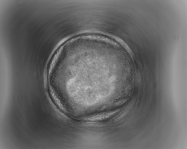X0000113041295200909171513