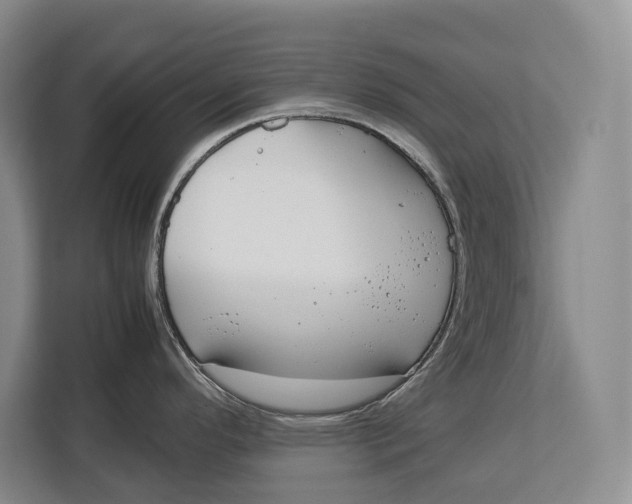 X0000113041296200909171513