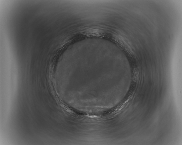 X0000113041297200909171513