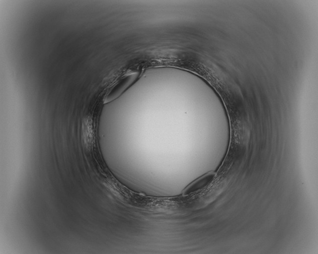 X0000113041298200909171513