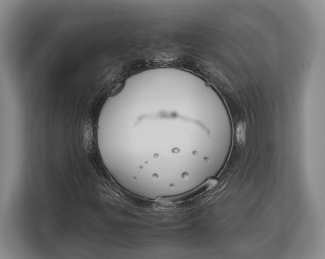 X0000113041299200909171513