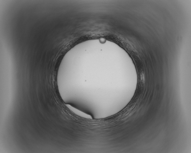 X0000113041300200909171513
