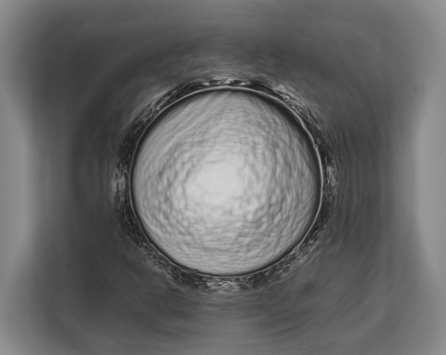 X0000113041302200909171513