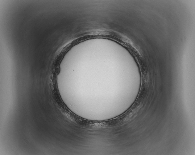 X0000113041304200909171513