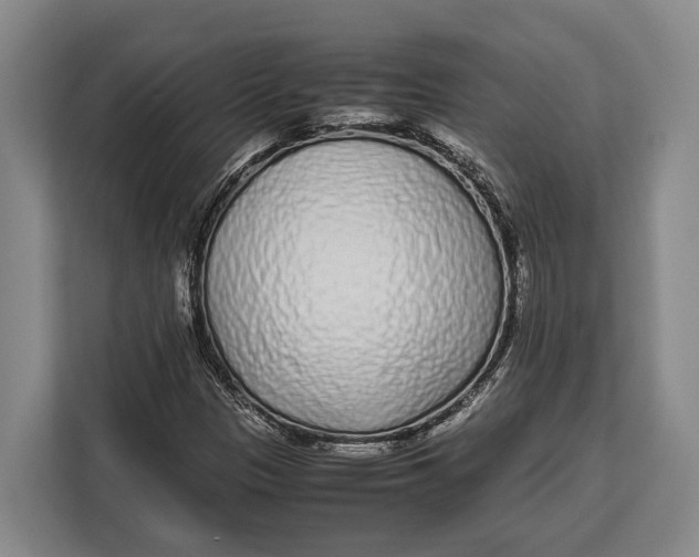 X0000113041305200909171513