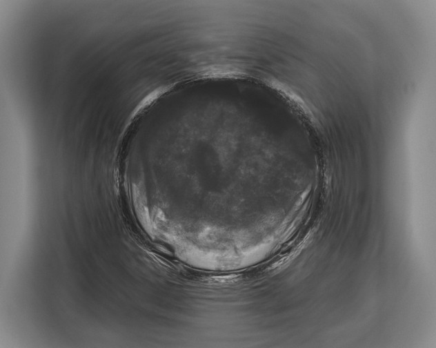 X0000113041306200909171513