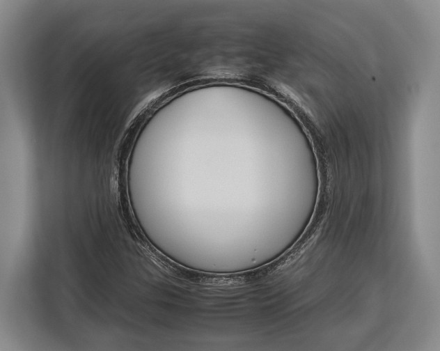 X0000113041307200909171513