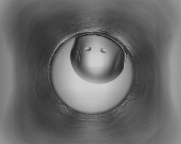 X0000113041308200909171513