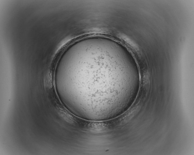 X0000113041310200909171513