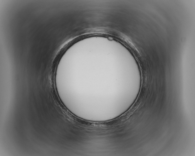 X0000113041312200909171513