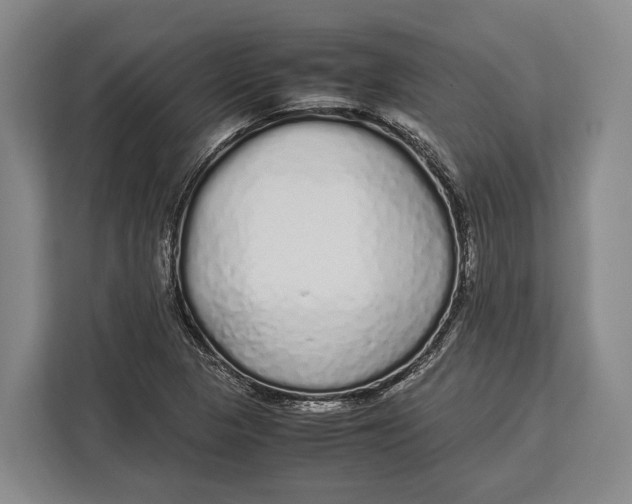 X0000113041313200909171513
