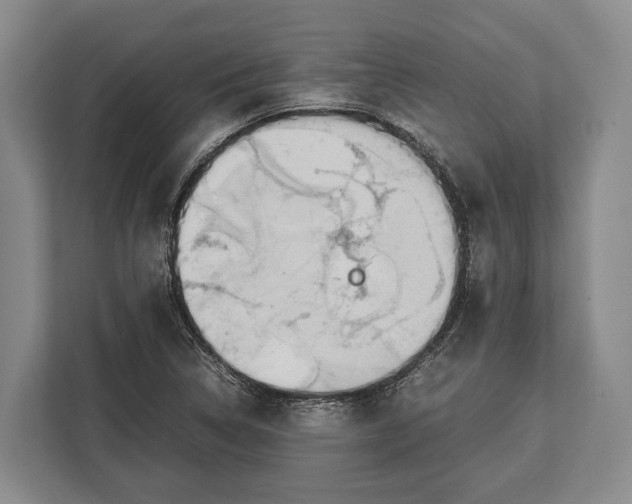 X0000113041314200909171513